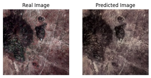 SAR Image Colorization